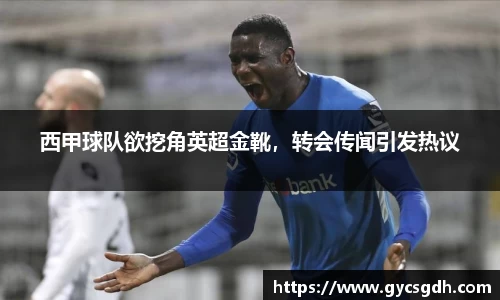 西甲球队欲挖角英超金靴，转会传闻引发热议
