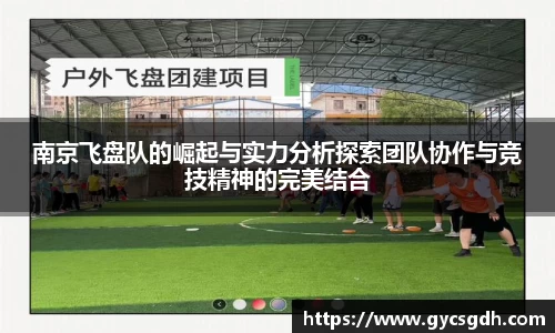 南京飞盘队的崛起与实力分析探索团队协作与竞技精神的完美结合