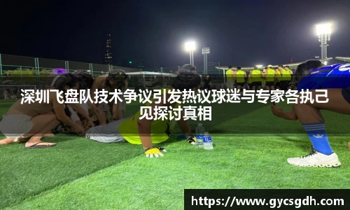 深圳飞盘队技术争议引发热议球迷与专家各执己见探讨真相