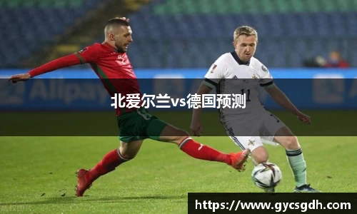 北爱尔兰vs德国预测