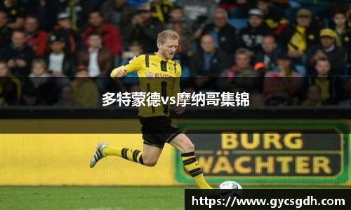 多特蒙德vs摩纳哥集锦