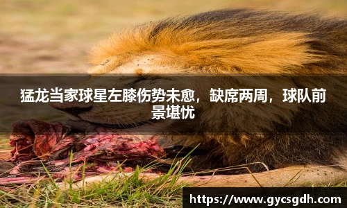 猛龙当家球星左膝伤势未愈，缺席两周，球队前景堪忧